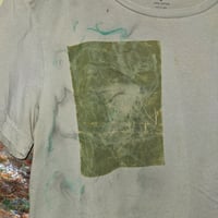 Image 2 of roots (green)