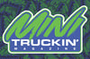 Green & Blue 2x3 Mini Truckin' Magazine Banner