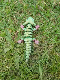 Image 4 of Axolotl 