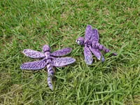 Image 3 of Dragonfly