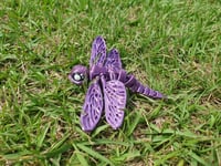 Image 4 of Dragonfly