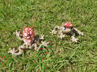 Image 3 of Mushroom Frogs