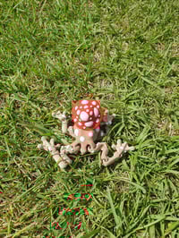 Image 2 of Mushroom Frogs