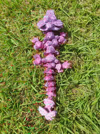 Image 2 of Baby Mushroom Dargons