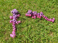 Image 3 of Baby Mushroom Dargons