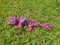 Image 1 of Baby Butterfly Dragon