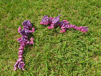 Image 3 of Baby Butterfly Dragon