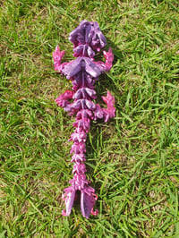 Image 2 of Baby Butterfly Dragon