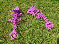 Image 4 of Baby Light Heart Dragons