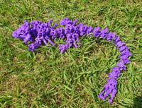 Image 1 of Baby Hollow Dragon