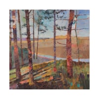 Image 2 of Holkham Pines