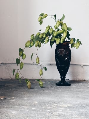 Den rav farvet _Svensk vintage vase fra Elme glasbruk