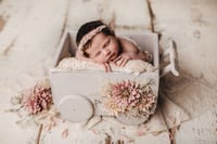 Image 1 of Baby pram with beautiful flowers