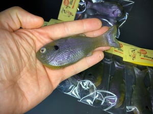 Image of Bob’s Bluegill 2PK (Green Goblin)