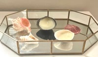  Seashell Candle
