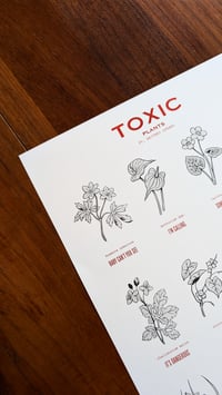 Image 2 of A3 Poster TOXIC