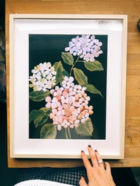 Image 3 of 'Hydrangea' Print 