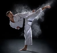 Elite WKF Training  