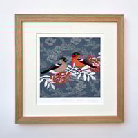 Image 5 of BULLFINCH ART PRINT