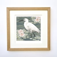 Image 1 of HAND DRAWN SIGNED LITTLE EGRET ART PRINT