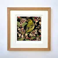 Image 1 of HAND DRAWN SISKIN SIGNED ART PRINT