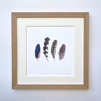 Image 1 of HAND DRAWN FEATHER SIGNED ART PRINT