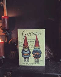 Image 1 of Gnomes