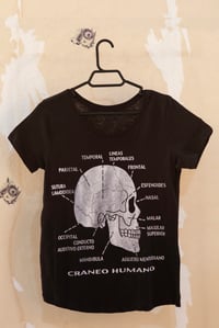 CAMI CIENCIA
