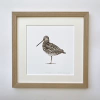 Image 1 of HAND DRAWN SNIPE SIGNED NATURE PRINT