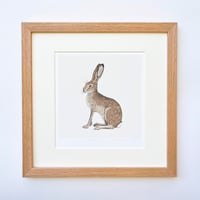 Image 1 of HAND DRAWN HARE SIGNED NATURE PRINT