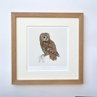 Image 5 of TAWNY OWL ART PRINT
