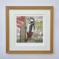 Image 1 of HAND DRAWN WOODPECKER SIGNED ART PRINT