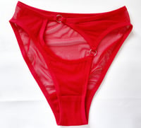 Image 2 of The FLOOZY knickers in red mesh