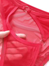 Image 4 of The FLOOZY knickers in red mesh