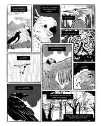 Image 3 of Crow and the Eternal Night - Comic Book