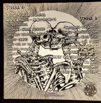 Image 3 of Demons Inside Us - 12" comp 