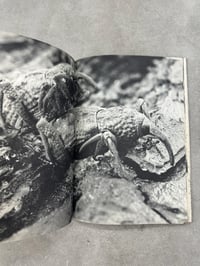 Image 8 of Animal Copulation - Tokumitsu Iwago