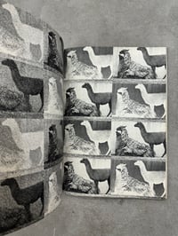 Image 10 of Animal Copulation - Tokumitsu Iwago