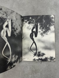 Image 11 of Animal Copulation - Tokumitsu Iwago