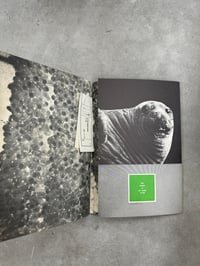 Image 13 of Animal Copulation - Tokumitsu Iwago