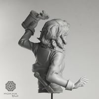 Image 2 of Vesha