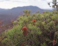 Image 2 of Dawn till Dusk in the Stirling and Porongurup Ranges 2nd ed