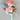 Boutonniere