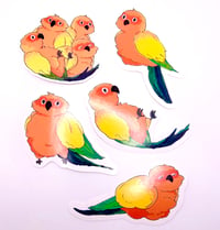 Image 1 of Sun Conure Stickers