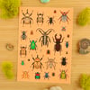 North American Beetles Sticker Sheet