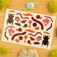 Image 1 of Dirt Friends Clear Vinyl Sticker Sheet