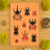 Beetles! Sticker Sheet