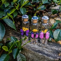 Image 4 of Butterfly (Simple) - Message in a Bottle