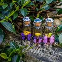 Image 1 of Butterfly (Simple) - Message in a Bottle
