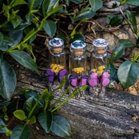 Image 3 of Butterfly (Simple) - Message in a Bottle